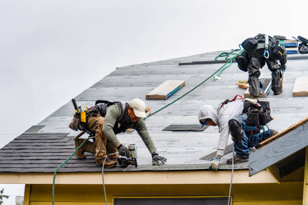 Professional Roofing technician working in Ellwood City, PA